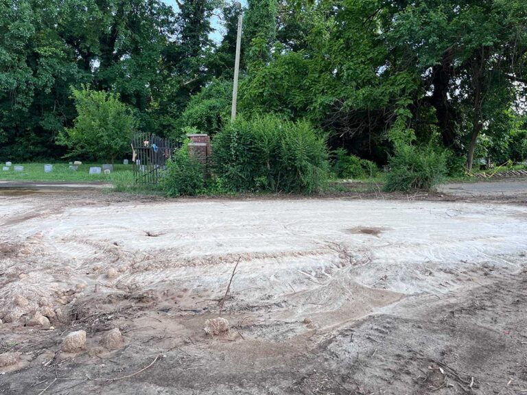 Landscaping Update