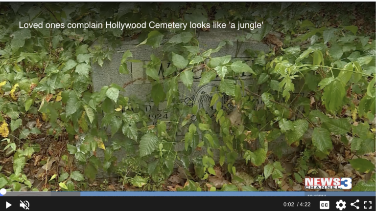 Loved ones complain Hollywood Cemetery looks like ‘a jungle’